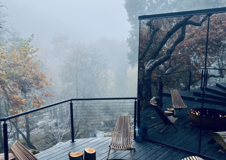 Gallery image with a fresh perspective